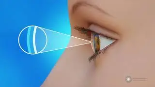 The Three Layers of the Tear Film