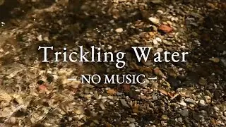 3 Hours - Subtle Sounds of a Small Creek in a Forest - No Music