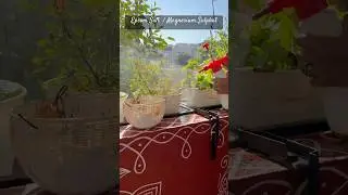 Plants Grow Faster & Greener with One Gardening Secret | Epsom Salt