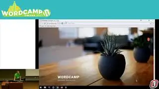 Creating WordPress Plugins from Scratch