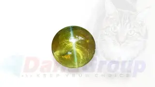 Ceylon Natural Chrysoberyl Cats Eye - Glass Body Good Transparent stone from Danu Group