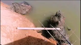 صيد بلطي الخيول اللي بيخطف ويجري على الزنان