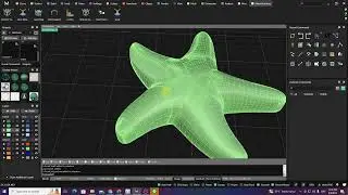 Starfish Modeling in MatrixGold 3.4