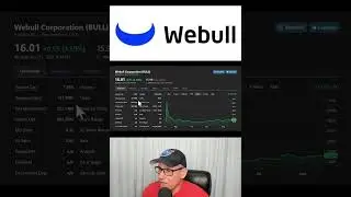 Is Webull stock a good opportunity?