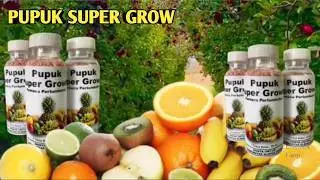 Pupuk Super Grow,Manfaat Pupuk Super Grow