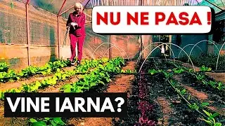 Trucuri Pentru Legume Proaspete &Icirc;n Solar Iarna!