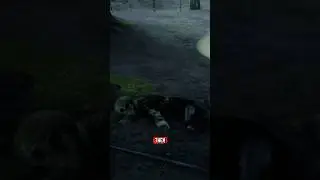 You Missed These 3 Easy Loot Locations in RDR2