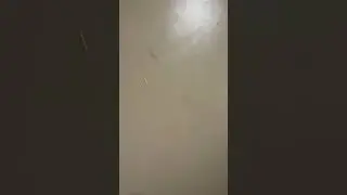 First time watching Deadpool