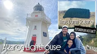 Akaroa Lighthouse, Mercusuar Iconic Sejak 1878 | That Damn Square Pepohonan Kotak Unik Banget!