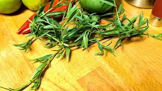 Forellen-Tatar mit Chili und Mango an Limetten-Espuma zu J.B. Schäfer Scheurebe trocken (1)