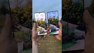 Realme 12 pro plus Vs Vivo X100 Camera Test 🤜📸🤛 #shorts #realme12proplus #vivox100 #comparison