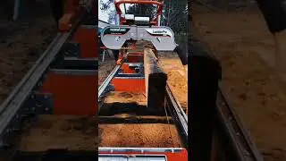 Norwood Lumber Pro HD36 #shorts