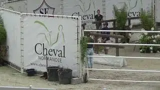 Lithium Saint-Blaize - 3 ans Normandy Horse Show