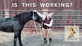 Protecting Trust or Avoiding Progress 🤎 A BLM Mustang’s Timeline