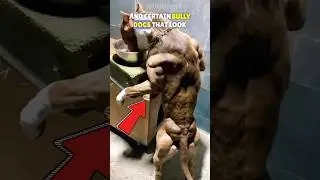 The Genetic Mutation That Makes Animals INSANELY Strong