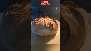 live baking in oven , how works bakery items inside over #youtubeshorts #video #viral #shorts #live