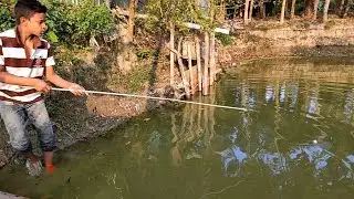 Best Fishing Video | Fishing with Hook | Catching Catfish by Hook  !!@ #fishingbdGo