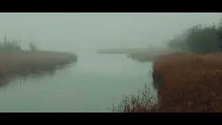 Остров --- Би-2 & Пикник Island --- Bi-2 & Piknik (Video shot by AbramovFILM studio)
