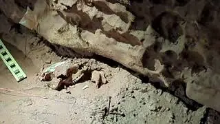 Indiana Caverns, Bluespring Caverns (Indiana Cave Trail) & the mouths of a few Caves at Spring Mill