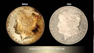 NCS Conservation