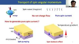Online Spintronics Seminar #102: Weiwei Lin