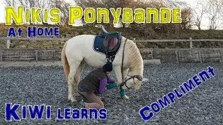 Nikis-Ponybande: Kiwi learns how to do the compliment - pony training
