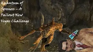 Quantum of Soreness -  Fallout New Vegas Challenge
