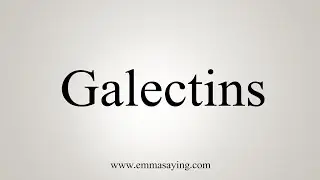 How To Say Galectins