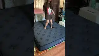 Dreame Foam Mattress