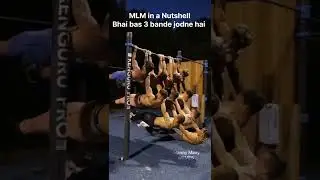 MLM Scheme