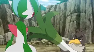Pokemon Journeys Farfetch'd Want's To Battle Gallade