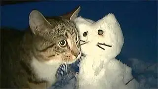 me, you, and winter