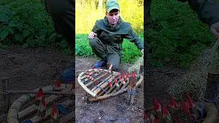 AN EFFECTIVE TRAP  #survival #trapping #trap