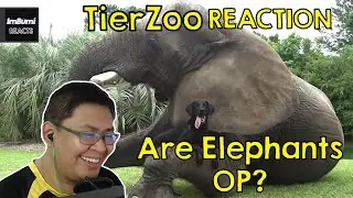 Are Elephants OP? | TierZoo | ImBumi Reaction