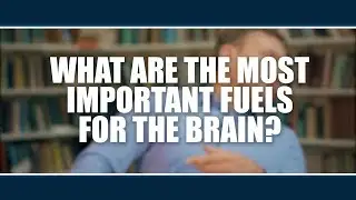 What are the most important fuels for the brain?  Nick Gant