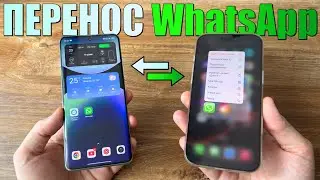 Как передать чаты WhatsApp с iPhone на Android? Без потери передача данных WhatsApp