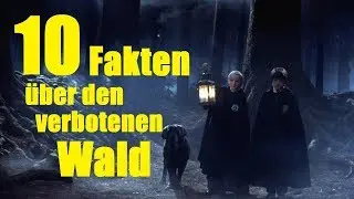 10 FAKTEN &uuml;ber den verbotenen WALD