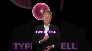 What Are Exosomes? | Cellgenic Exosomes  #regenerativemedicine #exosomes #medicine #short #medicine