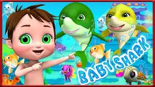 Beb&ecirc; Tubar&atilde;o Brincando - Can&ccedil;&otilde;es para beb&ecirc;s - Can&ccedil;&otilde;es infantis - BmBm Cartoon #can&ccedil;&otilde;esdebeb&ecirc;