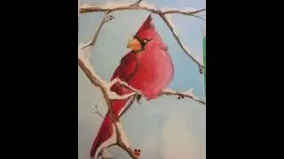 Holiday Cardinal