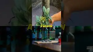 The Most Deadly Flowers In The World