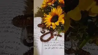 #رساله_مرشدينك الروحنين من روحك العليا الان اسمع روحانياتك بتبلغك ايه وسبب تعبك(الزوهري)