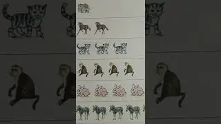 Count & Write number of animals