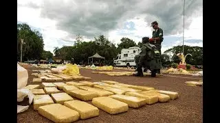 Incautan m&aacute;s de 4 toneladas de marihuana en Misiones
