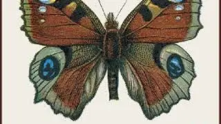 The Story Book of Science by Jean-Henri FABRE read by Various Part 1/2 | Full Audio Book