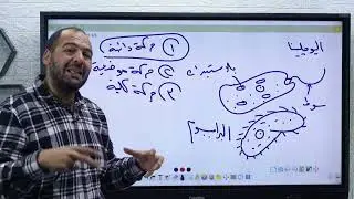 شرح الحركة فى النبات 🌿