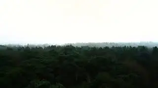 🌲🌳 Serene Oasis: 4K Drone Footage of a Forest Lake 📷🚁