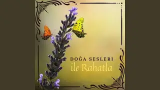 Mutlu Kuşlar