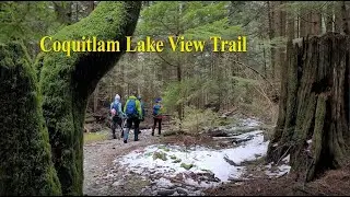 Coquitlam Lake View Trail (Day Hiking) 4K