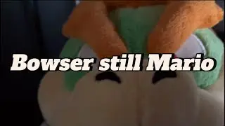 Mario get stolen and his friends have to save him❤️👍😊￼